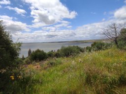 Flora del Cerro Masatrigo